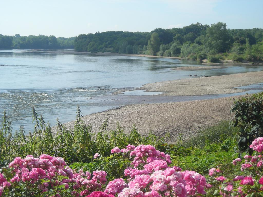 Hotel De La Loire Saint-Satur Eksteriør billede